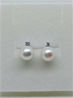 Orecchini Davite & Delucchi Donna CLASSIC LINE in Oro bianco Perla BBB09036